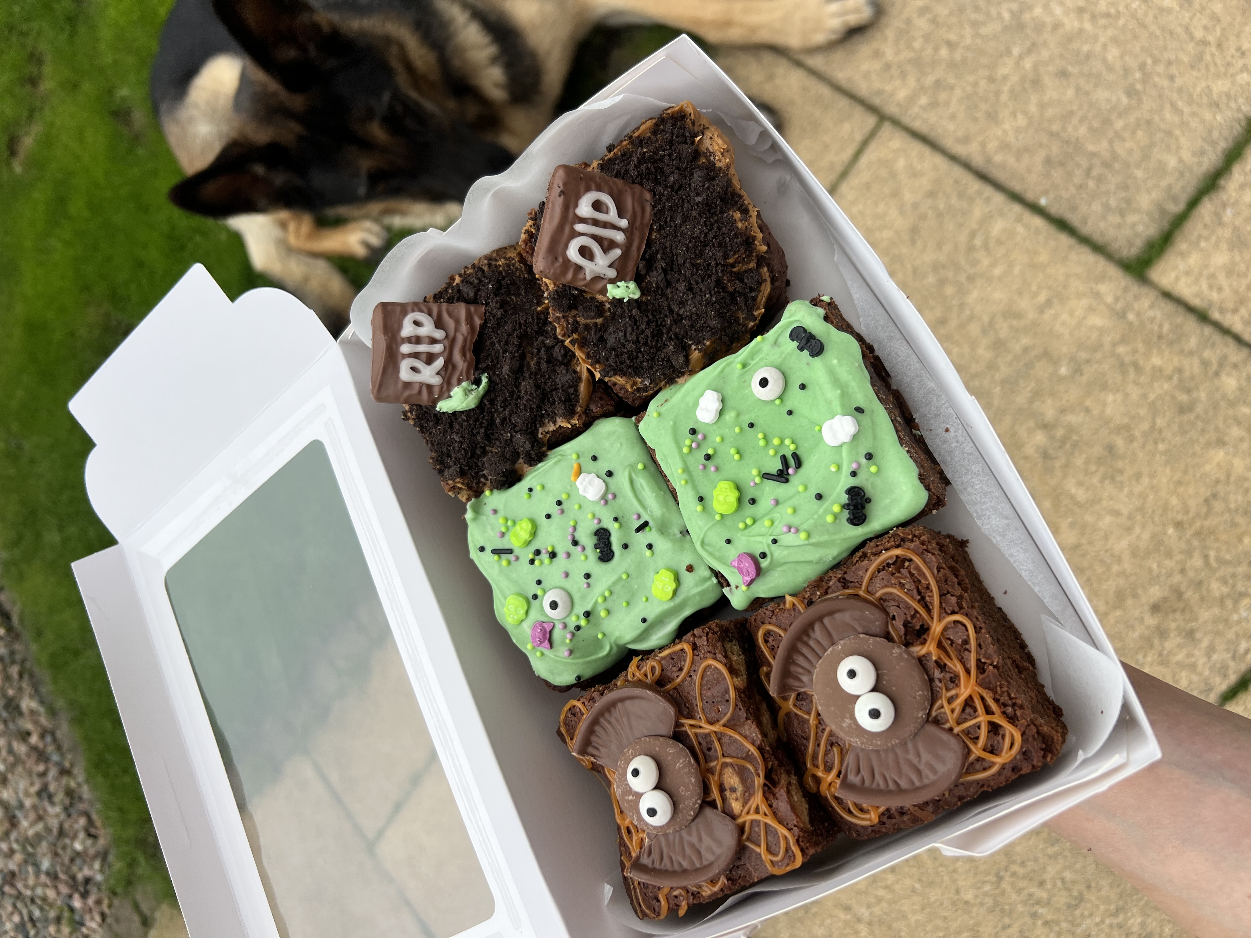 Halloween Brownie Boxes of 6 or 9