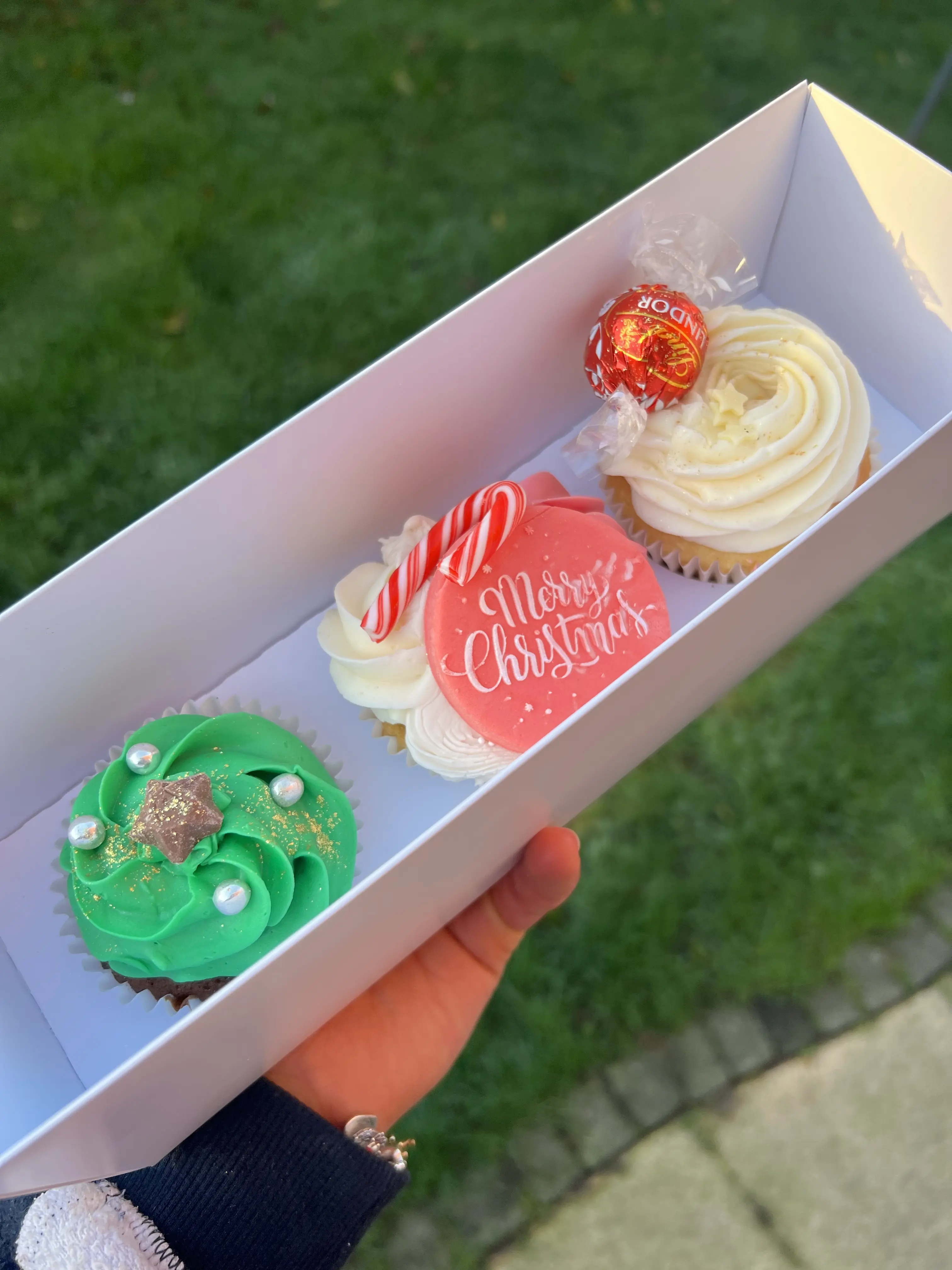 Christmas Mixed Cupcake Selection Boxes