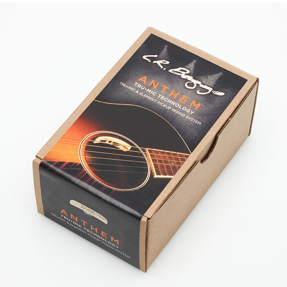 LR Baggs Anthem Installed