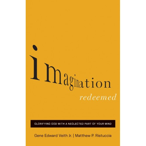 Imagination Redeemed